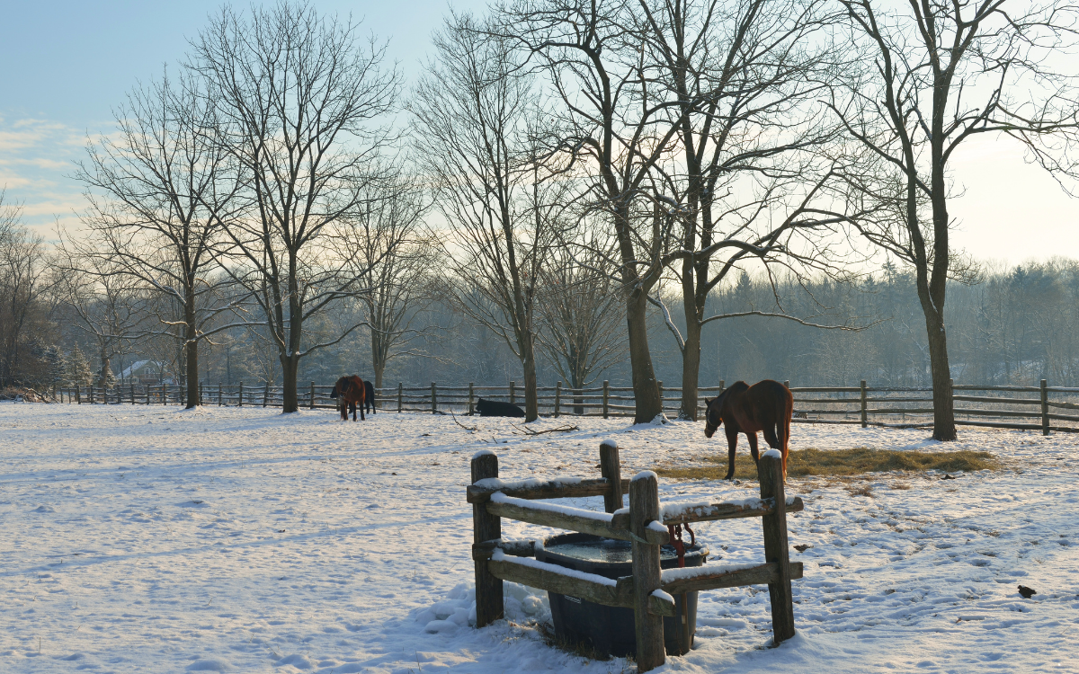 Getting Your Land Ready for Winter in Hugo, OK